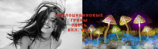 герыч Лиски