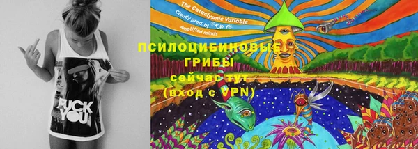 Альфа ПВП Лихославль