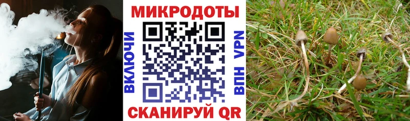 Псилоцибиновые грибы Magic Shrooms  mega ССЫЛКА  Димитровград  цены  