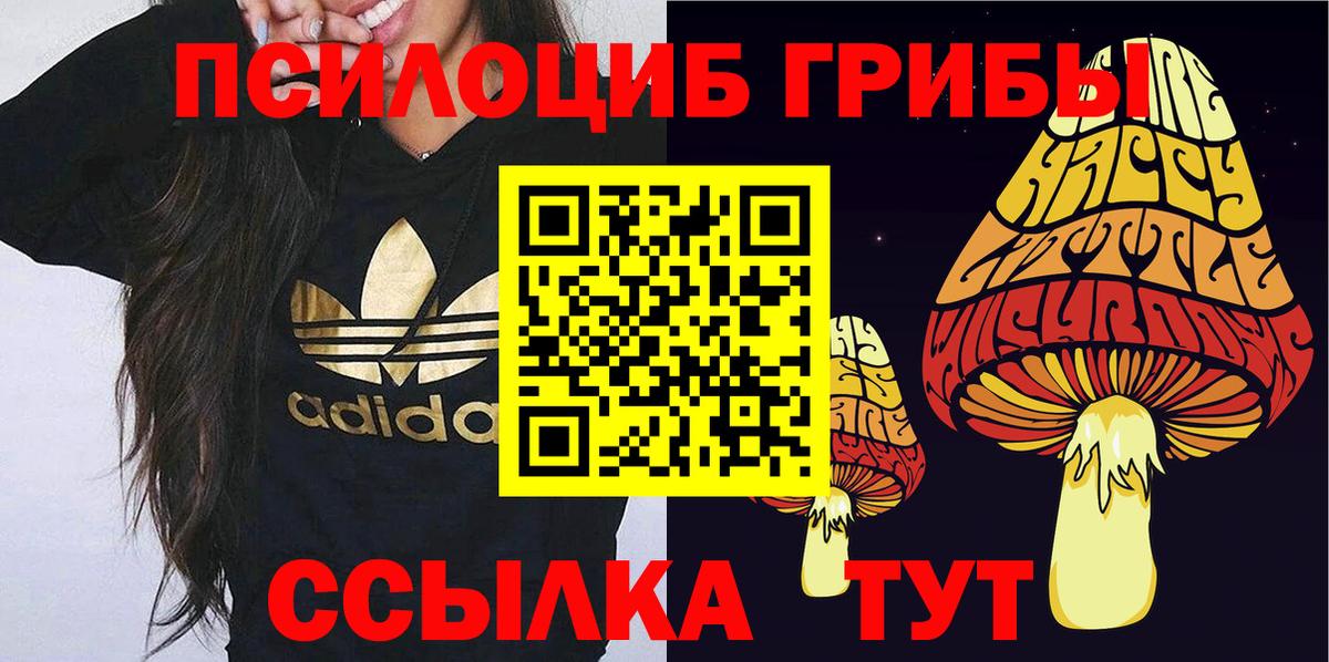 Псилоцибиновые грибы GOLDEN TEACHER  Вход с VPN  Димитровград  Галлюциногенные грибы MAGIC MUSHROOMS 